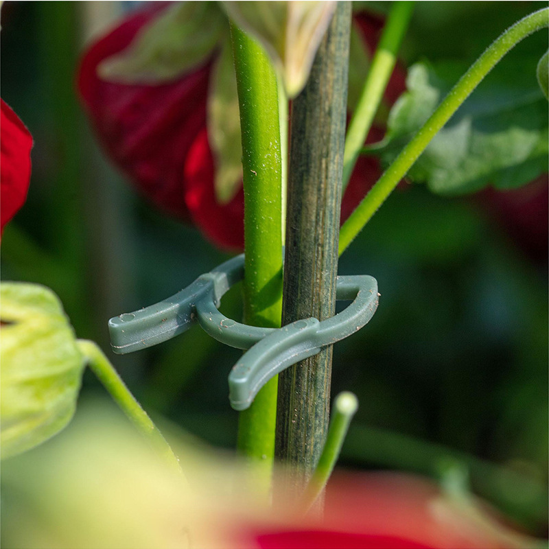 50/100pcs Garden Plant Clips V - огляд і ціна Vertical Planter
