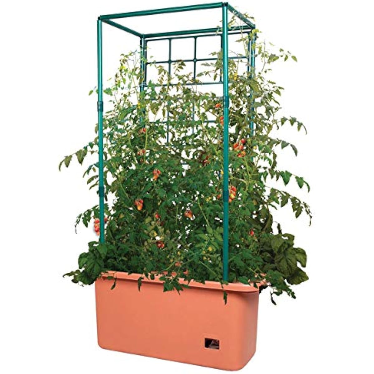 GCTR Tomato Grow System 10 Gal - огляд і ціна Vertical Planter