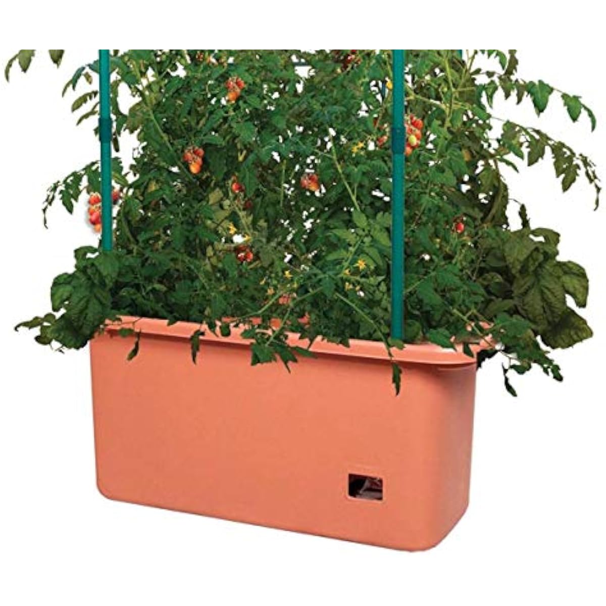 GCTR Tomato Grow System 10 Gal - огляд і ціна Vertical Planter