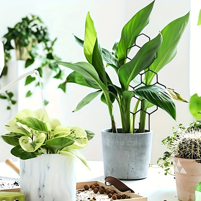1PC Honeycomb Design Plant Tre - огляд і ціна Indoor Herb Garden