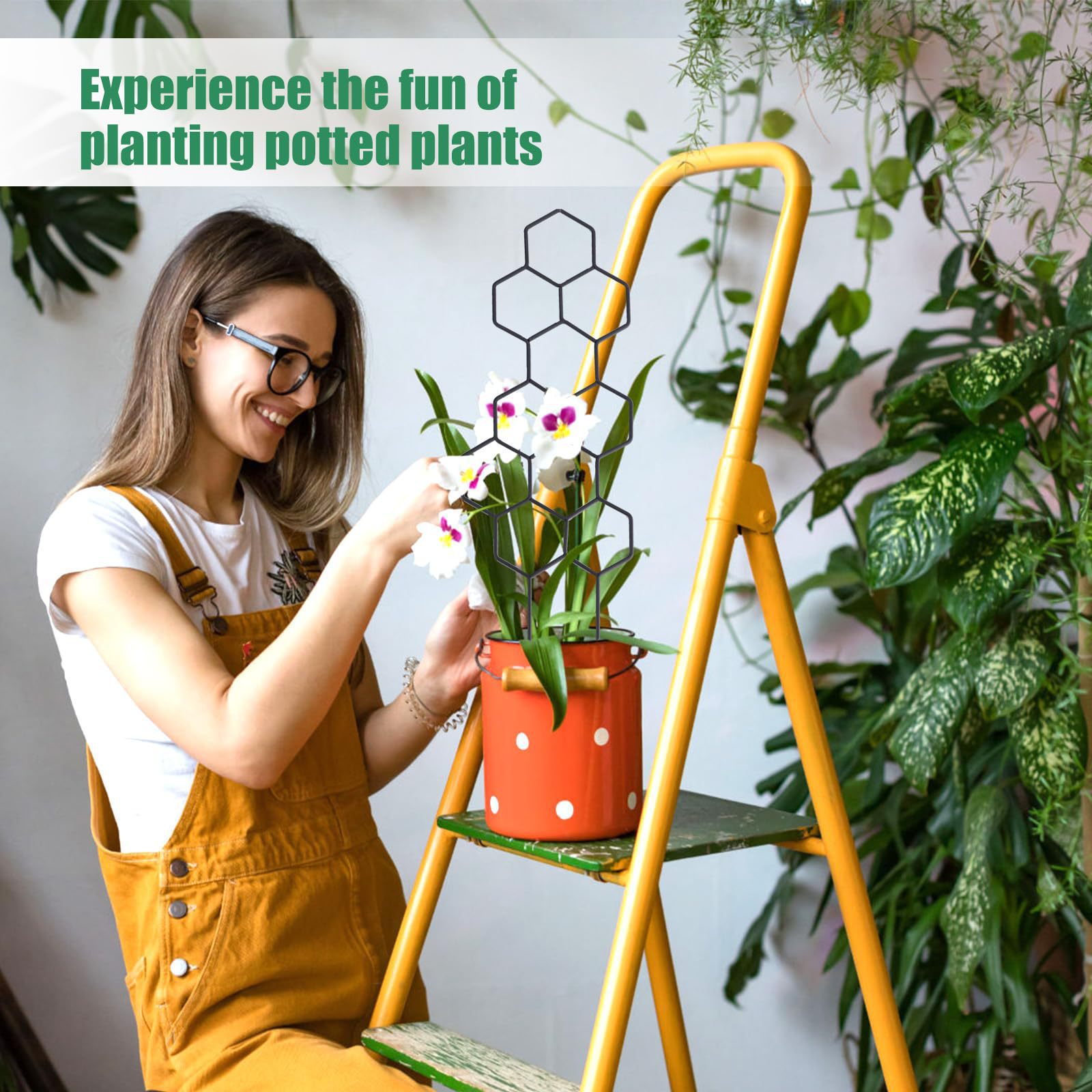 1PC Honeycomb Design Plant Tre - огляд і ціна Indoor Herb Garden