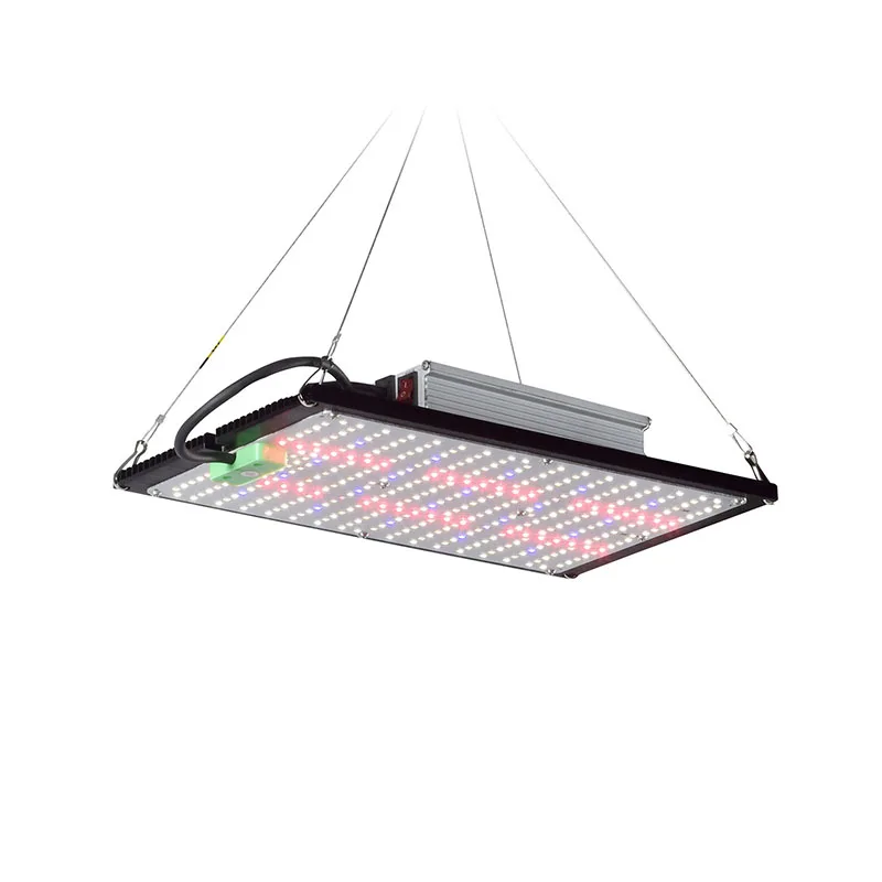 LED Quantum‑Board Grow Light F - огляд і ціна Grow Light Led