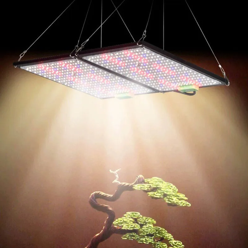 LED Quantum‑Board Grow Light F - огляд і ціна Grow Light Led