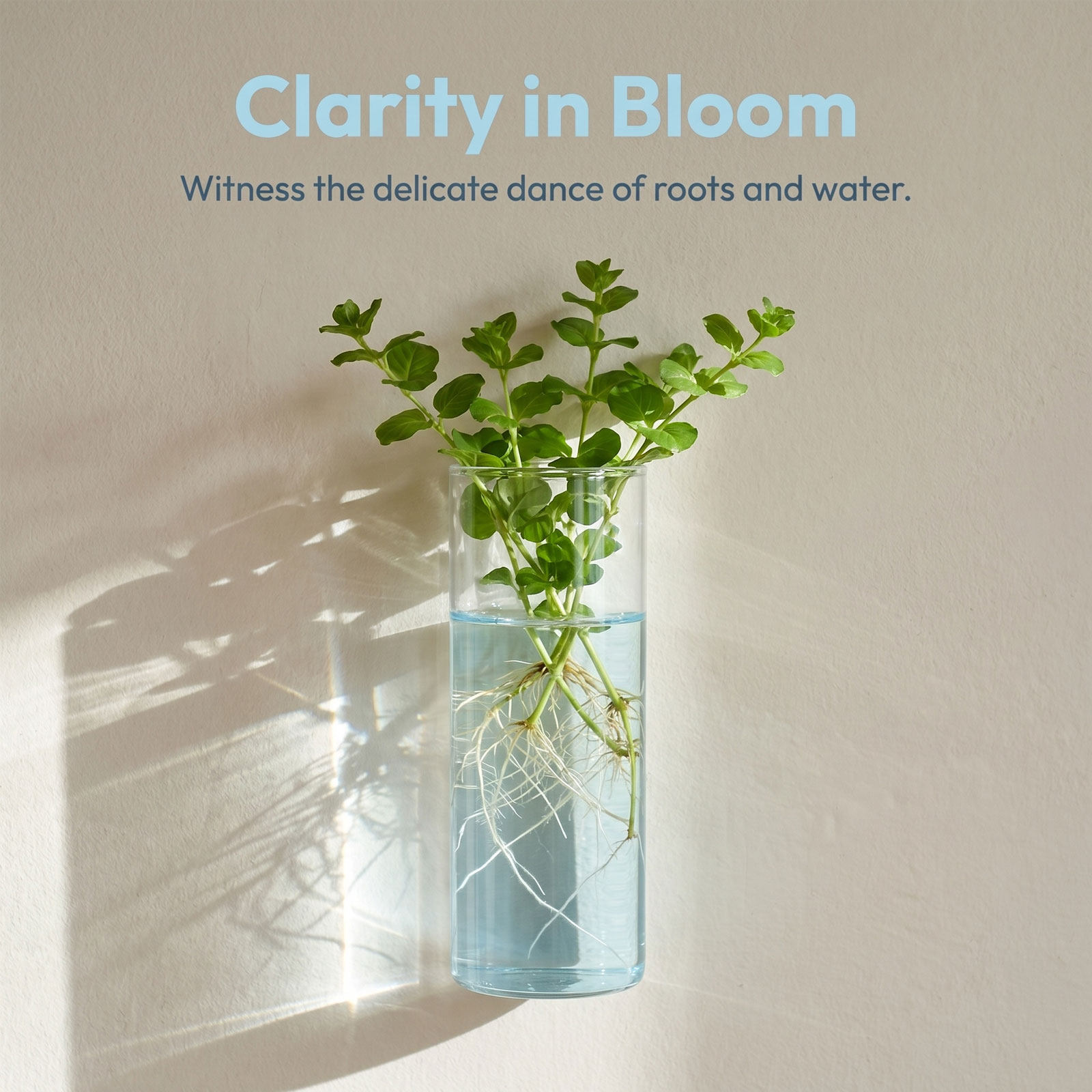 5Pcs Wall Planter Cylinder Gla - огляд і ціна Vertical Planter